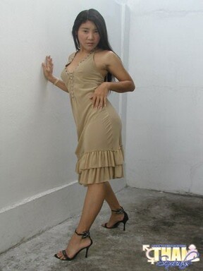 Asian shemale Angel posing in dress and high heels