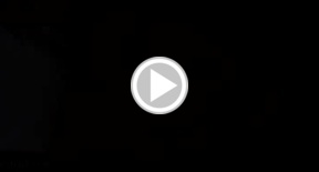 Asian shemale Ann sucking cock and taking it in the ass