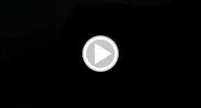 Asian shemale Vicky sucks white cock and masturbates
